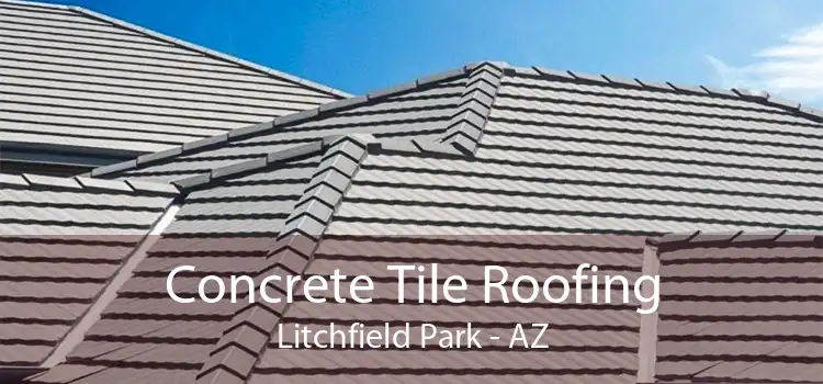 Concrete Tile Roofing Litchfield Park - AZ