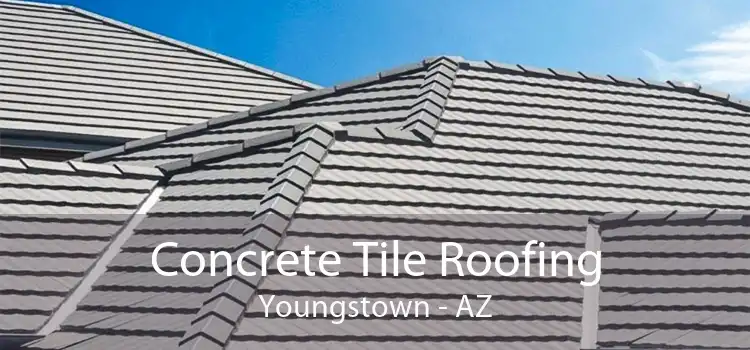 Concrete Tile Roofing Youngstown - AZ