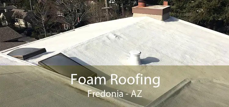 Foam Roofing Fredonia - AZ