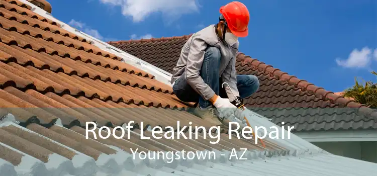 Roof Leaking Repair Youngstown - AZ