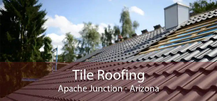 Tile Roofing Apache Junction - Arizona