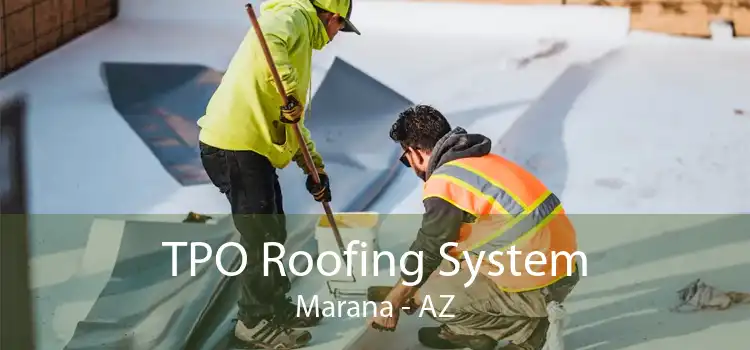 TPO Roofing System Marana - AZ