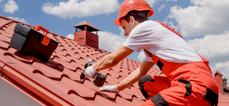 Shed Roof Repair in Peoria, AZ